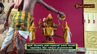 Photo of பழனி ஸ்ரீ தண்டாயுதபாணிசுவாமி ஆலய சண்முகர் திருக்கல்யாணம் | Palani Shanmugar Thirukalyanam | D360