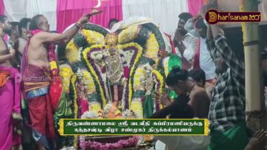 Photo of திருவண்ணாமலை அருள்மிகு ஸ்ரீ வடவீதி சுப்பிரமணியருக்கு திருக்கல்யாண வைபவம் | | திருவையாறு