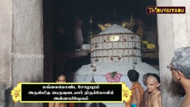 Photo of Gangaikonda Cholapuram Sri Peruvudaiyar Temple Annabisheka Vizha  || Thiruvaiyaru