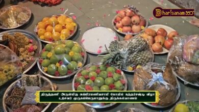 Photo of திருத்தணி ஸ்ரீ சுப்பிரமணியசாமி ஆலய முருகப்பெருமானுக்கு திருக்கல்யாணம் | Kandha sasti Vizha