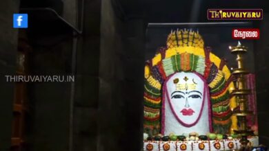 Photo of 🔴Live Gangaikonda Cholapuram | Thiruvarur அன்னாபிஷேகம் | Thanjavur Peruvudaiyar Abishekam