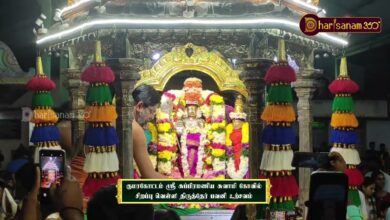 Photo of காஞ்சிபுரம் குமரகோட்டம் ஸ்ரீ சுப்பிரமணிய சுவாமி கோவில் | சிறப்பு வெள்ளி திருத்தேர் பவனி உற்சவம்