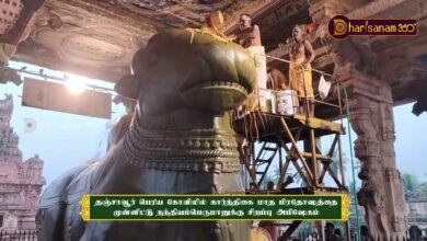 Photo of தஞ்சாவூர் பெரிய கோவிலில் கார்த்திகை மாத பிரதோஷத்தை முன்னிட்டு நந்தியம்பெருமானுக்கு சிறப்பு அபிஷேகம்