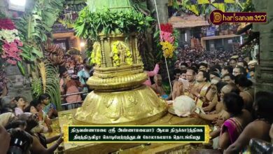 Photo of திருவண்ணாமலை ஸ்ரீ அண்ணாமலையார் ஆலய கார்த்திகை தீபத்திருவிழா கொடியேற்றத்துடன் கோலாகலமாக தொடங்கியது