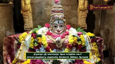 Photo of திருவாரூர் ஸ்ரீ கைலாசநாதர் ஆலய கார்த்திகை கடைசி சோமவாரத்தையொட்டி சந்தனகாப்பு அலங்காரம் அபிஷேக ஆராதனை