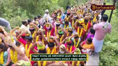 Photo of வேலூர் காட்பாடி ஸ்ரீ சுப்பிரமணியர் முருகர் ஆலய திருப்படி திருவிழா பால்குடம் எடுத்து வழிபாடு