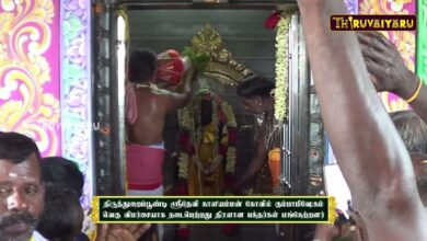 Photo of Aanmeega Seithigal around TN | தமிழக ஆன்மீக செய்திகள் | Thiruvaiyaru | 05-11-2024 to 11-11-2024 |