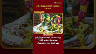 Photo of காரைக்கால் ஸ்ரீ நித்தீஸ்வரசுவாமி ஆலய கார்த்திகை மாத 1008 சங்காபிஷேகம் | Somavaram 1008 Sangabishekam