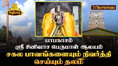 Photo of தஞ்சாவூர் – பாபநாசம் ஸ்ரீ சீனிவாசபெருமாள் ஆலயம் | Papanasam Sri Srinivasa Perumal Temple