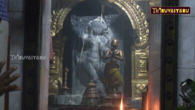 Photo of தஞ்சாவூர் ஸ்ரீ பிரதாப வீர ஆஞ்சநேயர் ஆலய மூல நட்சத்திர அனுமன் ஜெயந்தி சிறப்பு அபிஷேகம் | திருவையாறு