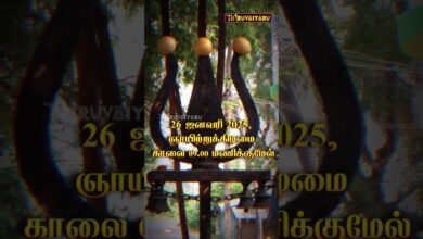 Photo of நேரலை திருவையாறு புது அக்ரஹாரம் ஸ்ரீ முனியாண்டவர் மற்றும் பரிவார தெய்வங்கள் ஆலய மகா கும்பாபிஷேகம்