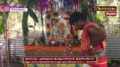 Photo of 🔴LIVE – புதுஅக்ரஹாரம் ஸ்ரீ முத்து காளியம்மன், ஸ்ரீ முனியாண்டவர் ஆலய மகா கும்பாபிஷேகம்