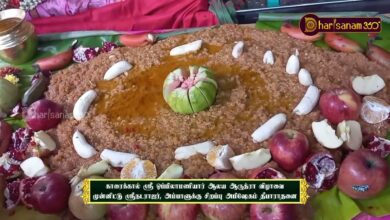 Photo of காரைக்கால் ஸ்ரீ ஓப்பிலாமணியார் ஆலய ஆருத்ரா விழா முன்னிட்டு சிறப்பு அபிஷேகம் தீபாராதனை | திருவையாறு