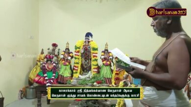 Photo of காரைக்கால் ஸ்ரீ நித்யக்கல்யாண பெருமாள் ஆலய பெருமாள் முத்து சாயக் கொண்டையுடன் பக்தர்களுக்கு காட்சி