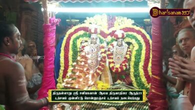 Photo of திருநள்ளாறு ஸ்ரீ சனிபகவான் ஆலய திருவாதிரை ஆருத்ரா உற்சவம் முன்னிட்டு பொன்னூஞ்சல் உற்சவம் நடைபெற்றது