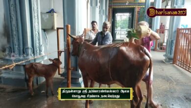 Photo of திருநள்ளாறு ஸ்ரீ தர்ப்பாரண்யேஸ்வரர் ஆலய கோபூஜை சிறப்பாக நடைபெற்றது | திருவையாறு