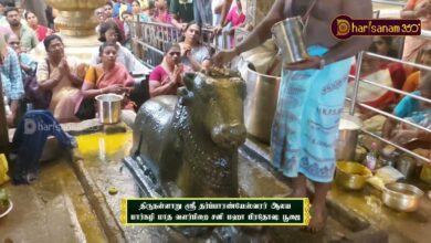 Photo of திருநள்ளாறு ஸ்ரீ தர்ப்பாரண்யேஸ்வரர் ஆலய மார்கழி மாத வளர்பிறை சனி மஹா பிரதோஷ பூஜை | திருவையாறு