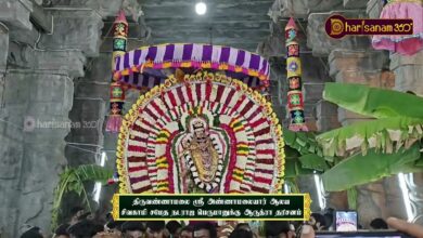 Photo of திருவண்ணாமலை ஸ்ரீ அண்ணாமலையார் ஆலய சிவகாமி சமேத நடராஜ பெருமானுக்கு ஆருத்ரா தரிசனம் | திருவையாறு