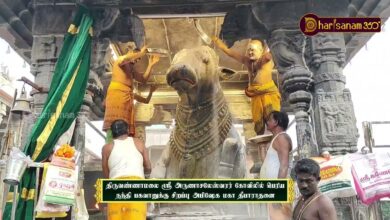 Photo of திருவண்ணாமலை ஸ்ரீ அருணாசலேஸ்வரர் கோவிலில் பெரிய நந்தி பகவானுக்கு சிறப்பு அபிஷேக மகா தீபாராதனை