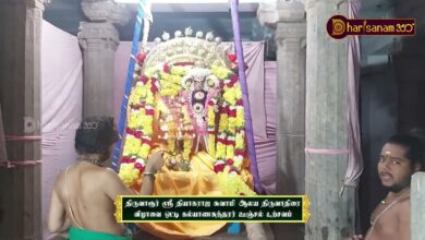 Photo of திருவாரூர் ஸ்ரீ தியாகராஜ சுவாமி ஆலய திருவாதிரை விழாவை ஒட்டி கல்யாணசுந்தரர் ஊஞ்சல் உற்சவம்