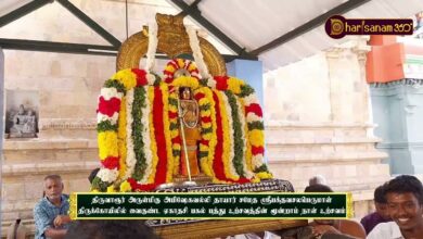 Photo of திருவாரூர் ஸ்ரீபக்தவசலபெருமாள் திருக்கோயில் வைகுண்ட ஏகாதசி பகல் பத்து உற்சவத்தின் 3ஆம் நாள் உற்சவம்