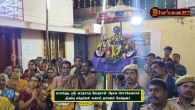 Photo of பரமக்குடி ஸ்ரீ வரதராஜ பெருமாள் ஆலய சொர்க்கவாசல் திறப்பு பக்தர்கள் சுவாமி தரிசனம் செய்தனர்