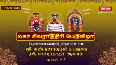 Photo of ЁЯФ┤ LIVE – родрпЖройрпНроХро╛ро│ро╣ро╕рпНродро┐-родро┐ро░рпБрокрпНрокро╛роорпНрокрпБро░роорпН ро╕рпНро░рпА рокро╛роорпНрокрпБро░роиро╛родро░рпН роЖро▓роп роороХро╛ роЪро┐ро╡ро░ро╛родрпНродро┐ро░ро┐ рокрпЖро░рпБро╡ро┐ро┤ро╛ роХро╛ро▓роорпН – 3