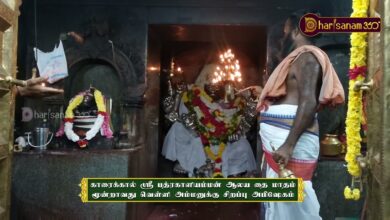 Photo of காரைக்கால் ஸ்ரீ பத்ரகாளியம்மன் ஆலய தை மாதம் அம்மனுக்கு சிறப்பு அபிஷேகம் | Thiruvaiyaru