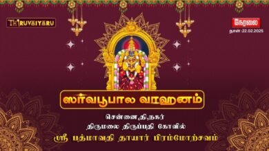 Photo of 🔴 LIVE – திருமலை திருப்பதி கோவில் ஸ்ரீ பத்மாவதி தாயார் பிரம்மோற்சவம் ஸர்வபூபால வாஹனம் | சென்னை