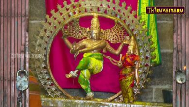 Photo of திருவாரூர் ஸ்ரீ தியாகராஜ சுவாமி ஆலய நடராஜர் அபிஷேகம் | Natarajar Abishekam | Thiruvaiyaru