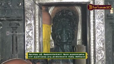 Photo of ஆலங்குடி ஸ்ரீ ஆபத்சகாயேஸ்வரர் ஆலய மாசி குருவாரம் திரவியங்களால் சிறப்பு அபிஷேகம் | Thiruvaiyaru