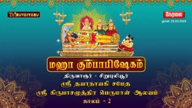 Photo of 🔴Live – திருவாரூர் – சிறுபுலியூர் ஸ்ரீ கிருபாசமுத்திர பெருமாள் ஆலய மஹா கும்பாபிஷேகம் காலம் – 2