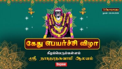 Photo of 🔴கீழப்பெரும்பள்ளம் ஸ்ரீ நாகநாதசுவாமி ஆலய கேது பெயர்ச்சி விழா | Kethu Peyarchi Vizha