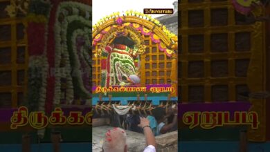 Photo of நேரலை திருவையாறு ஶ்ரீ ஐயாறப்பர் ஆலய நந்தியெம் பெருமான் அவதாரம் & திருக்கல்யாண பெருவிழா #thiruvaiyaru