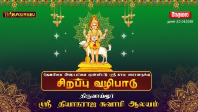 Photo of 🔴 Live – திருவாய்மூர் தேய்பிறை அஷ்டமியை  முன்னிட்டு ஸ்ரீ கால பைரவருக்கு சிறப்பு வழிபாடு | Vazhipadu