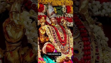 Photo of திருவையாறு ஶ்ரீ ஐயாறப்பர் – நந்தி அவதார விழா #thiruvaiyaru #aiyarappar #nandhi #kalyanam