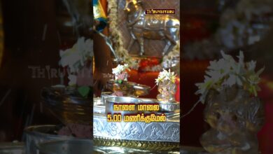 Photo of திருவையாறு ஸ்ரீ ஐயாறப்பர் ஆலய சித்திரை பெருவிழா – நாள் 5 தன்னைத்தான் பூஜித்தல் நேரலை #thiruvaiyaru