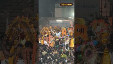 Photo of திருவையாறு சப்தஸ்தானம் பொம்மை பூ போடும் காட்சி தீபாராதனை #thiruvaiyaru #aiyarappar #ஐயாறப்பர் #viral
