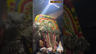 Photo of திருவையாறு ஸ்ரீ ஐயாறப்பர் ஆலய சித்திரை விழா நாள் 5 சுவாமி வெள்ளி ரிஷப வாகன புறப்பாடு #thiruvaiyaru