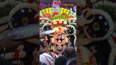 Photo of திருவாரூர் ஸ்ரீ தியாகராஜசுவாமி ஆலய தெப்பத்திருவிழா | Theppathiruvila | Promo #thiruvaiyaru