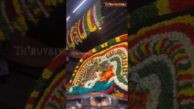 Photo of திருவையாறு ஸ்ரீ ஐயாறப்பர் ஆலய சித்திரை பெருவிழா நாள் 5 தன்னைத்தான் பூஜித்தல் #thiruvaiyaru