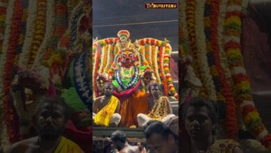 Photo of திருவையாறு ஸ்ரீ ஐயாறப்பர் ஆலய சித்திரை திருவிழா நாள் 3 பூத வாகன வீதி உலா #thiruvaiyaru #dharumai