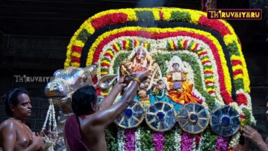 Photo of திருவையாறு ஸ்ரீ ஐயாறப்பர் ஆலய சித்திரைப் பெருவிழா நாள்-5 | Chithirai Festival Day-5 | Thiruvaiyaru