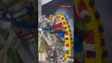 Photo of தஞ்சாவூர் கருந்திட்டைக்குடி ஸ்ரீ கருணாஸ்வாமி ஆலய வைகாசி விசாக பெருவிழா நாள்8 புறப்பாடு #thiruvaiyaru