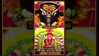 Photo of தஞ்சாவூர் ஸ்ரீ பெருவுடையார் கோவில் ஸ்ரீ மஹா வாராஹி அம்மன் குங்கும அலங்காரம் #திருவையாறு #shorts