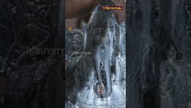 Photo of திருவையாறு ஸ்ரீராம் நகர் ஸ்ரீ இராஜகணபதி ஆலய வருஷாபிஷேகம் #thiruvaiyaru #vinayakachavithi #ganesh