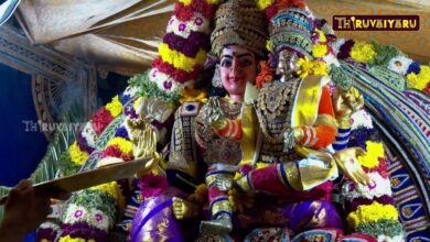 Photo of தஞ்சாவூர் நான்கு ராஜவீதிகளிலும் முத்து பல்லக்கில் வீதிஉலா | Muthu Pallakku Veethiyula | Thiruvaiyaru