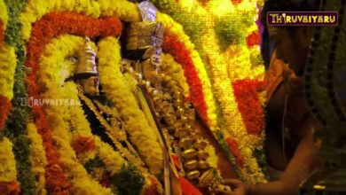 Photo of தஞ்சாவூர்-கருந்திட்டைக்குடி  ஸ்ரீ கருணாசுவாமி ஆலய கண்ணாடி பல்லக்கு ஏழூர் பவனி விழா Live Promo 2