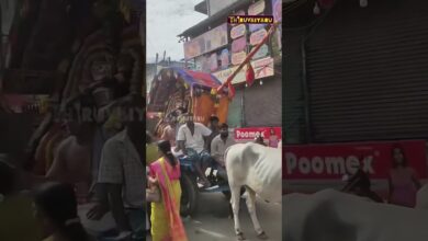 Photo of தஞ்சாவூர் நான்கு ராஜவீதிகளிலும் வெண்ணைத்தாழி சேவை | Thanjavur Vennaithazhi Sevai | #thiruvaiyaru