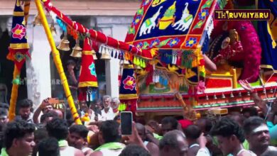 Photo of கும்பகோணம் – கொரநாட்டுக்கருப்பூர் ஸ்ரீ சுந்தர மகா காளியம்மன் ஆலய (பெட்டி காளியம்மன்) பல்லக்கு